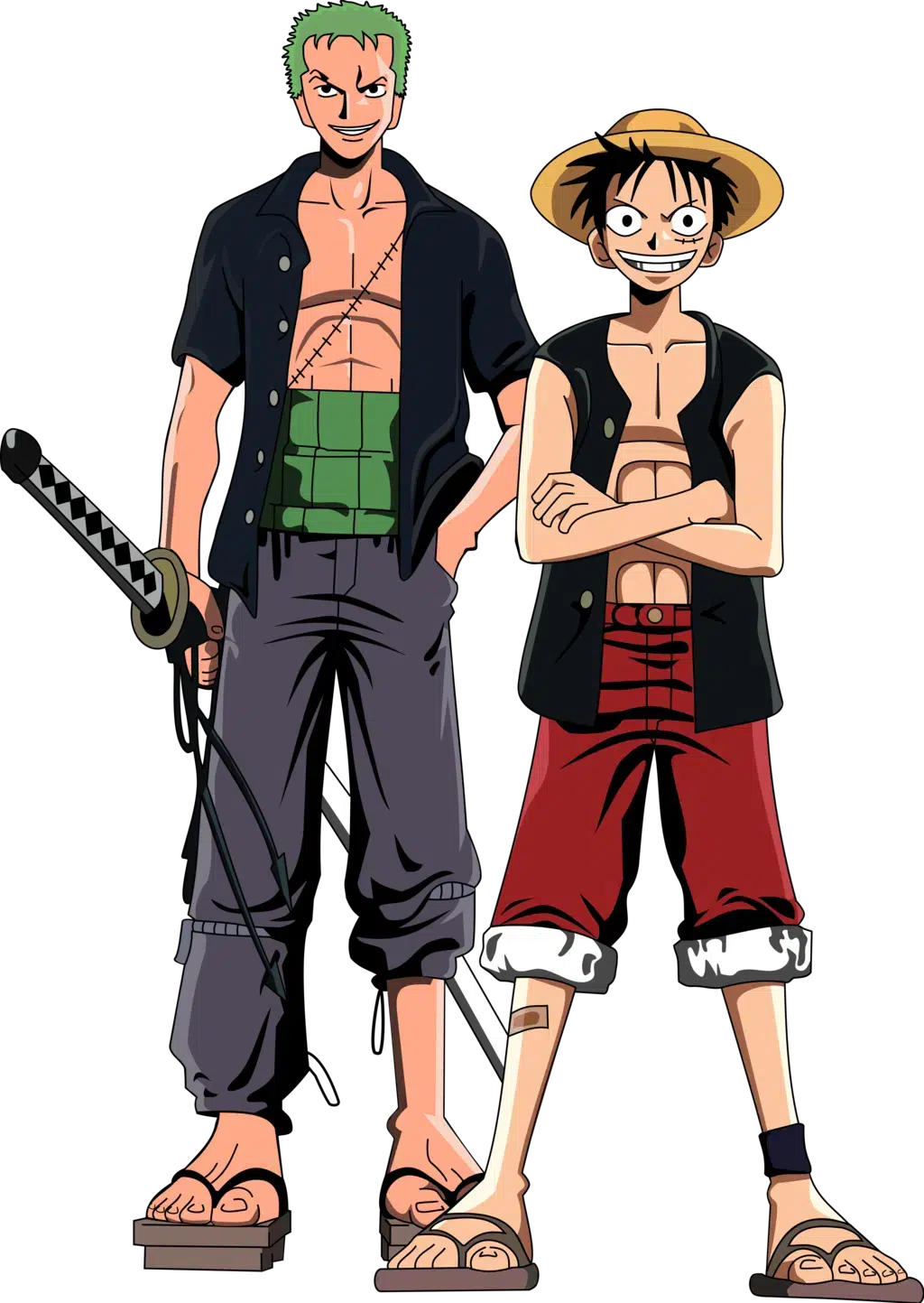 A full-body image of Monkey D. Luffy and Roronoa Zoro from One Piece. Luffy wears his straw hat, red shorts, and a black open vest, while Zoro stands beside him holding a katana, wearing a green sash and black shirt with purple pants. Both characters display confident expressions and strong poses.